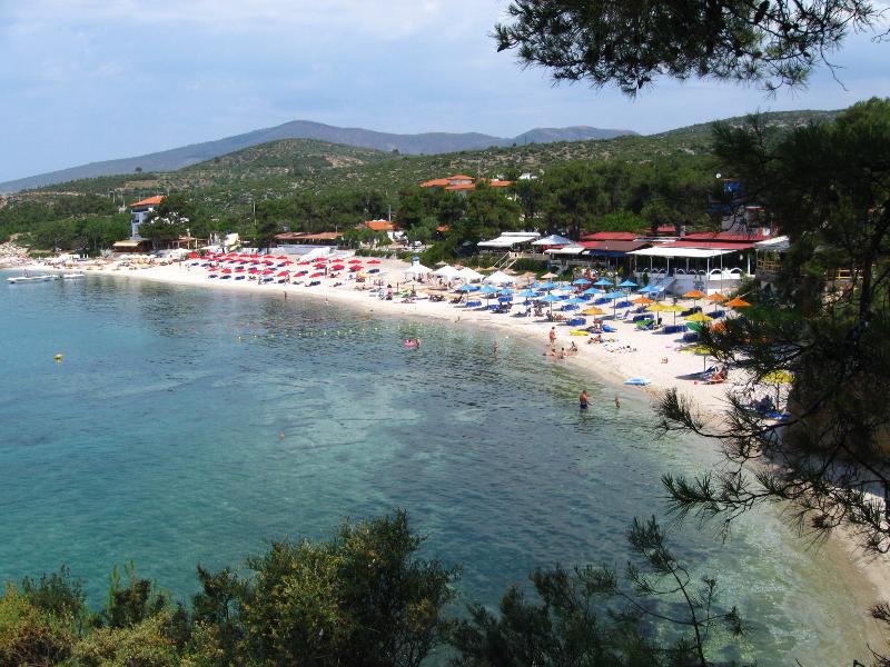 2009