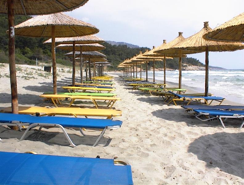 2006