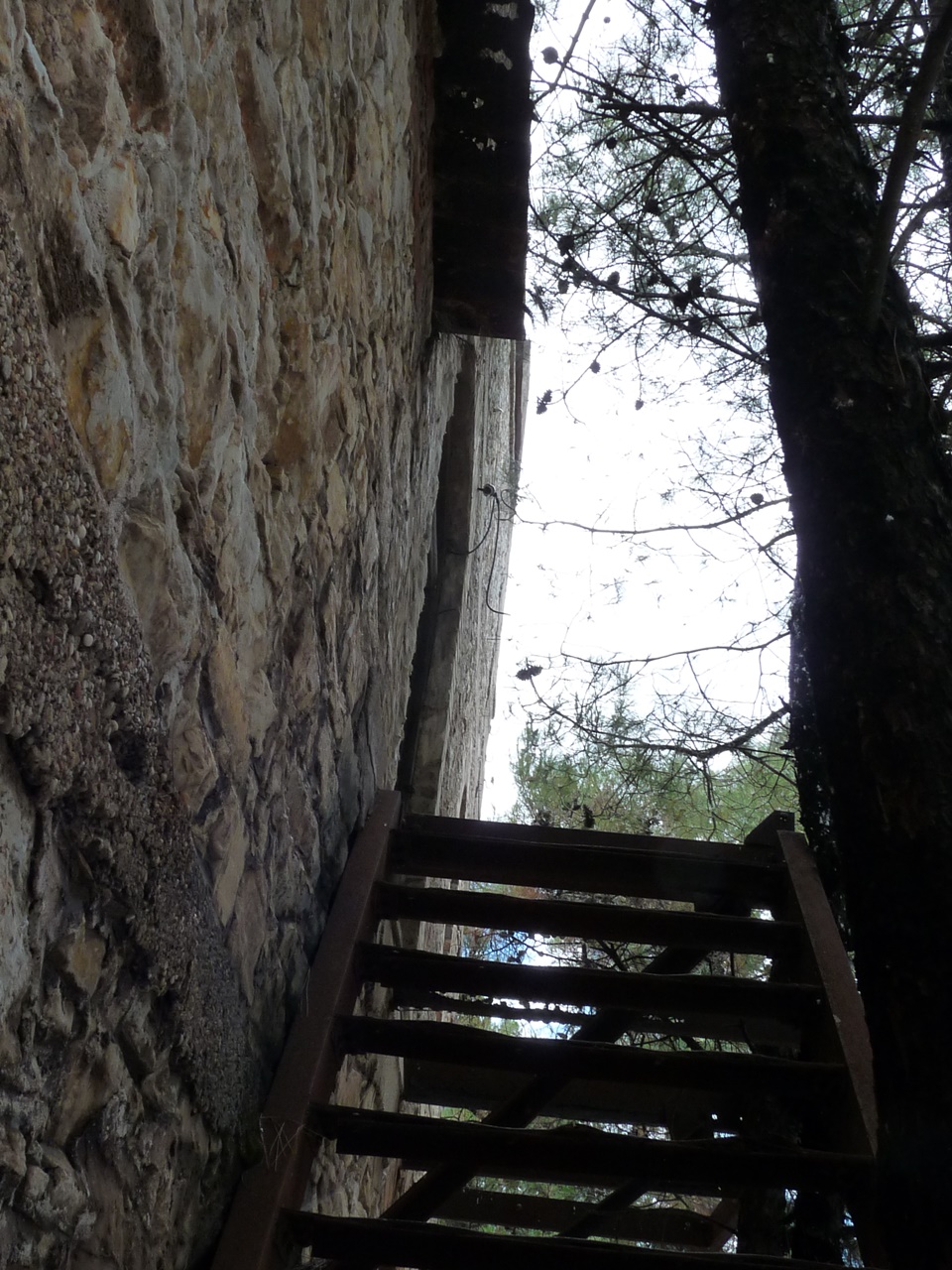 P1130676.JPG