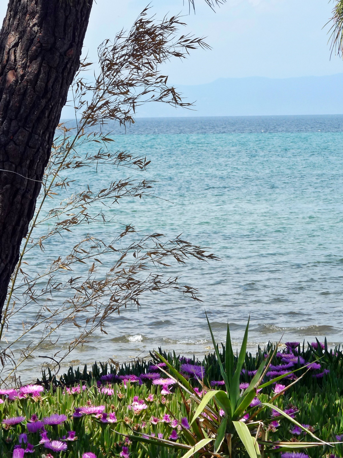 Thassos 2022 024.JPG
