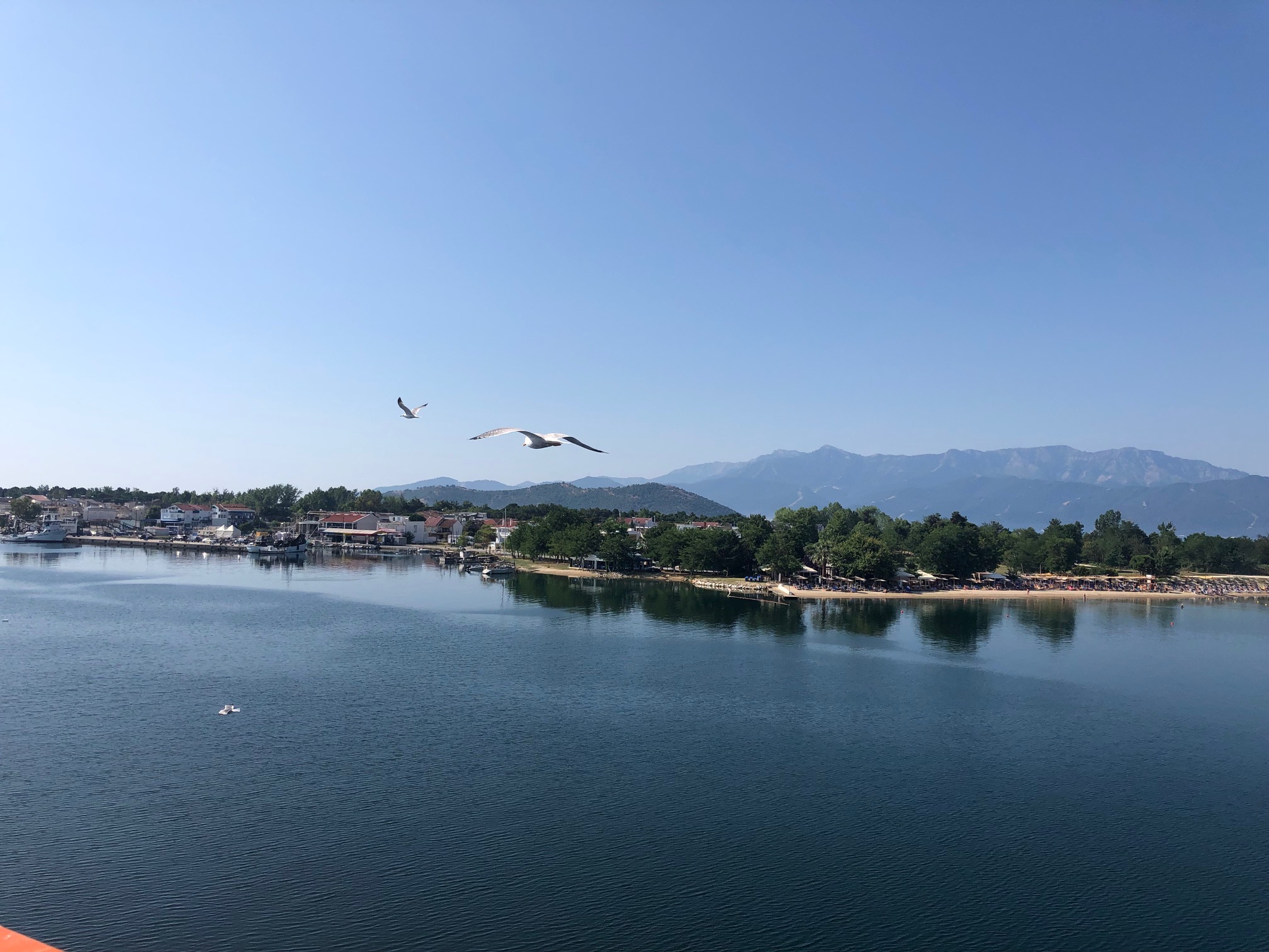 IMG_2490.jpg